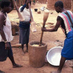 Women pounding cassava